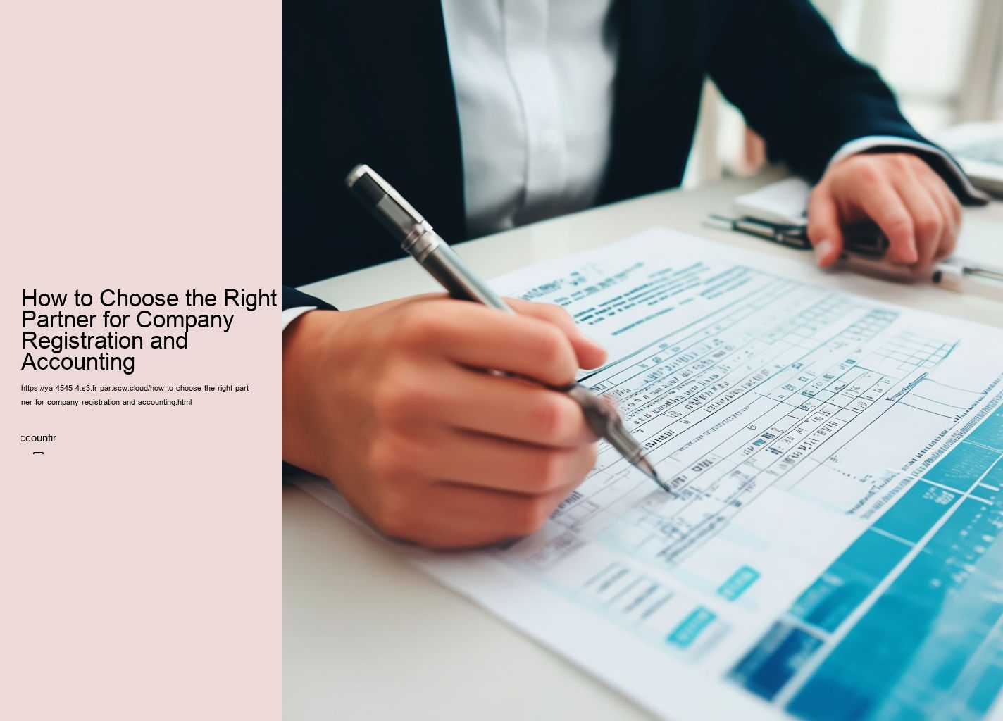 How to Choose the Right Partner for Company Registration and Accounting